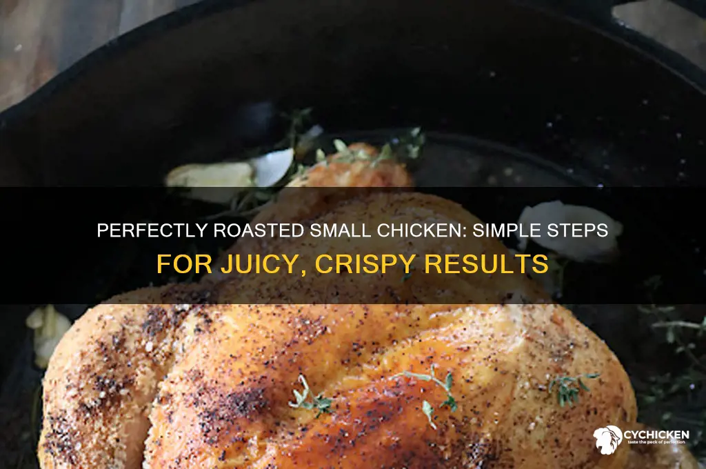 how do you roast a small chicken