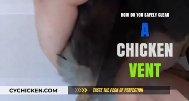 Safe and Hygienic Chicken Vent Cleaning: A Step-by-Step Guide