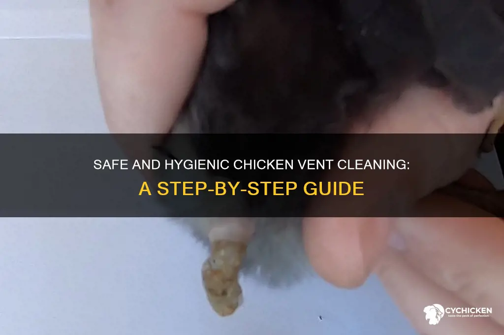 how do you safely clean a chicken vent