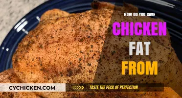 Save Chicken Fat Easily: Tips for Storing and Reusing Rendered Fat