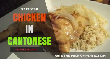 How to Say Chicken in Cantonese: A Quick Language Guide