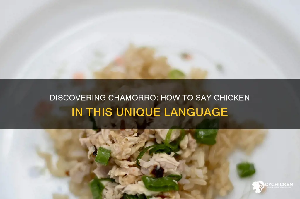 how do you say chicken in chamorro