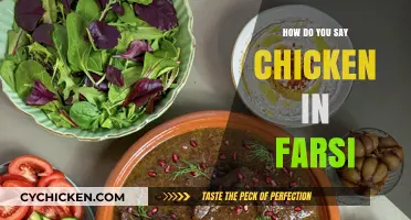Discovering the Farsi Word for Chicken: A Quick Language Lesson