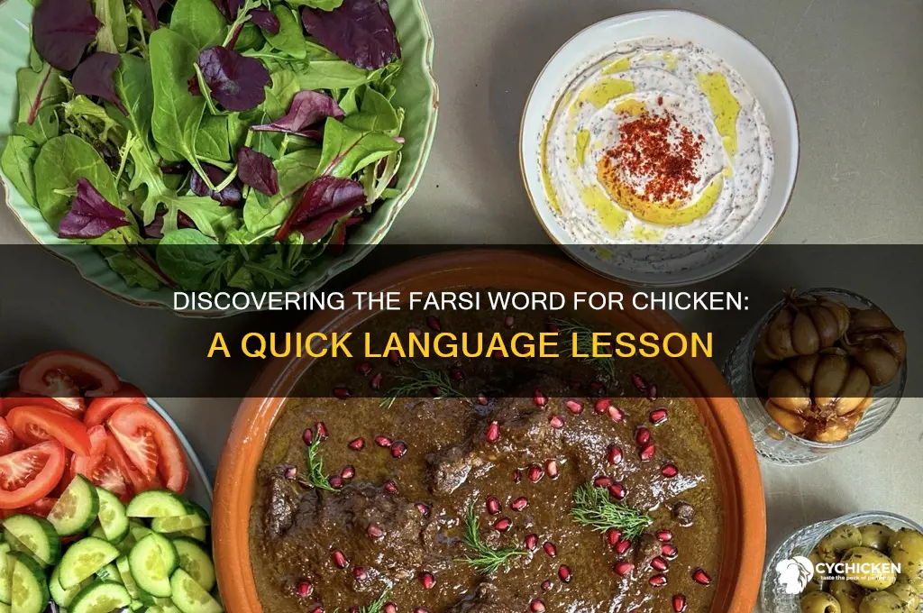 how do you say chicken in farsi