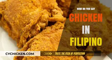 How to Say Chicken in Filipino: A Quick Language Guide