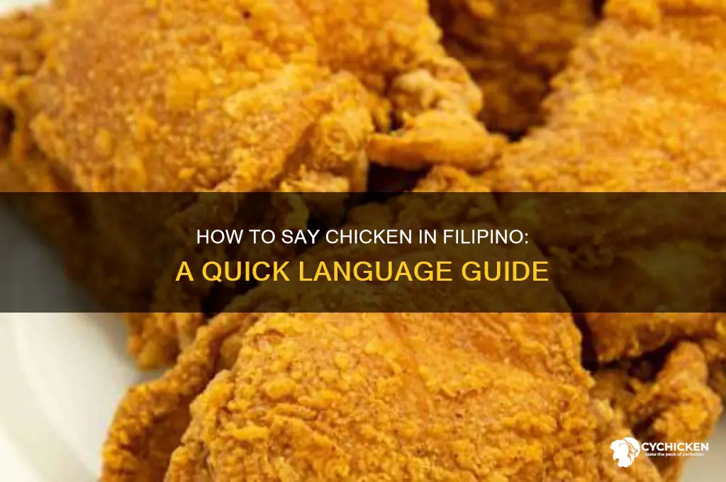 how do you say chicken in filipino