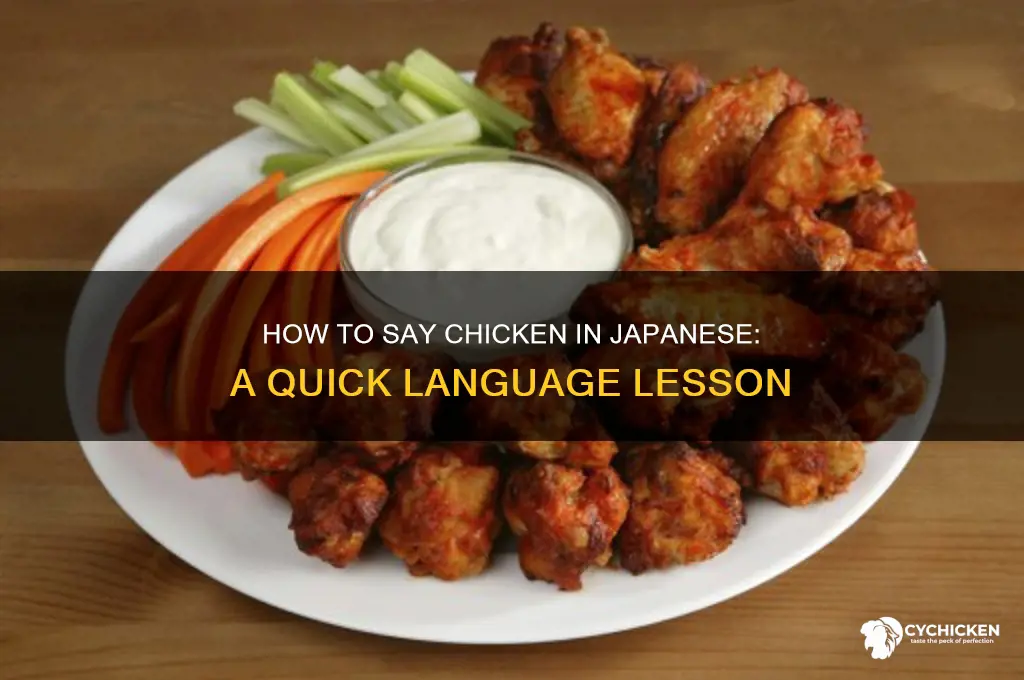 how do you say chicken in japaneese