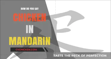 How to Say Chicken in Mandarin: A Quick Language Guide