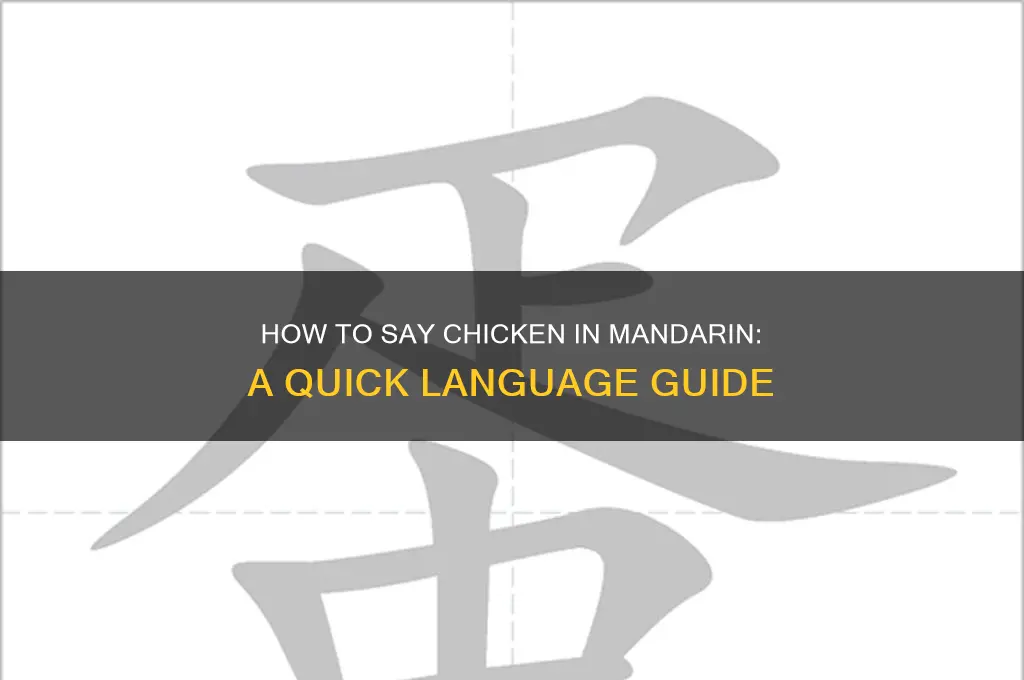 how do you say chicken in mandarin