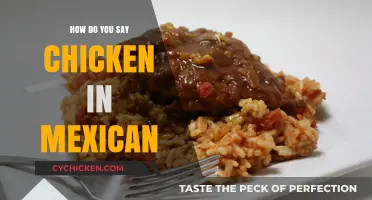 How to Say Chicken in Mexican Spanish: A Quick Guide