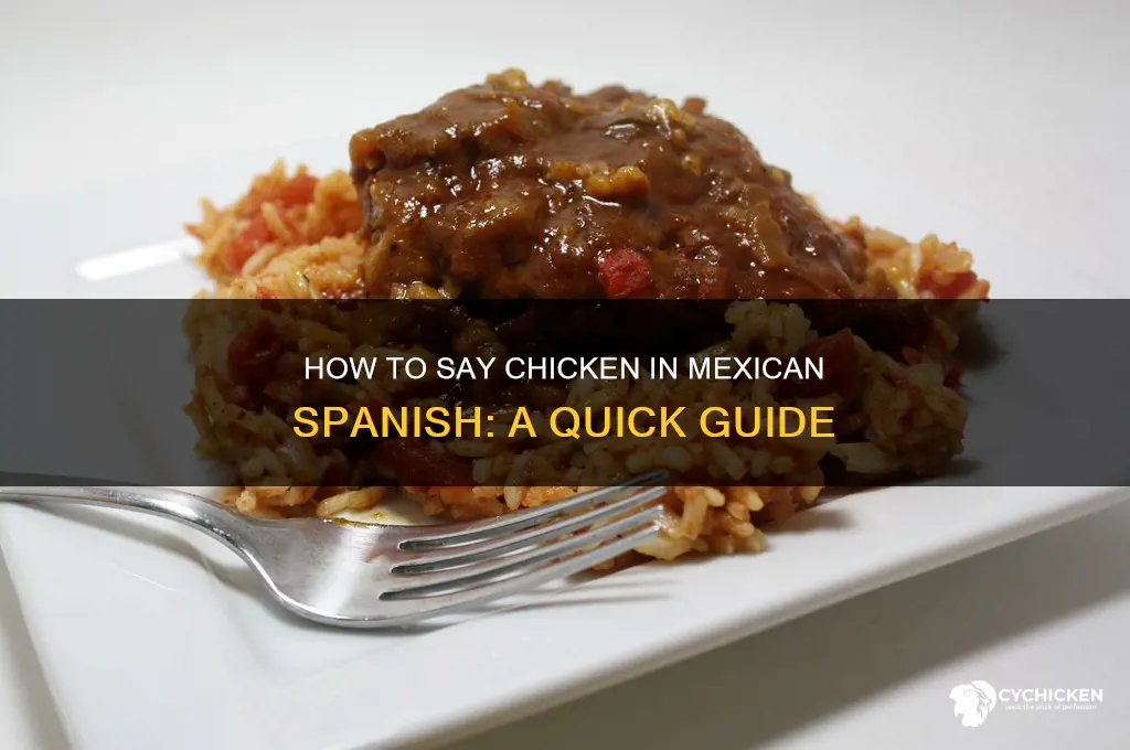 how do you say chicken in mexican