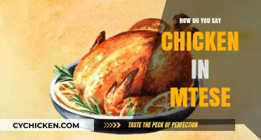How to Say Chicken in Maltese: A Quick Language Guide