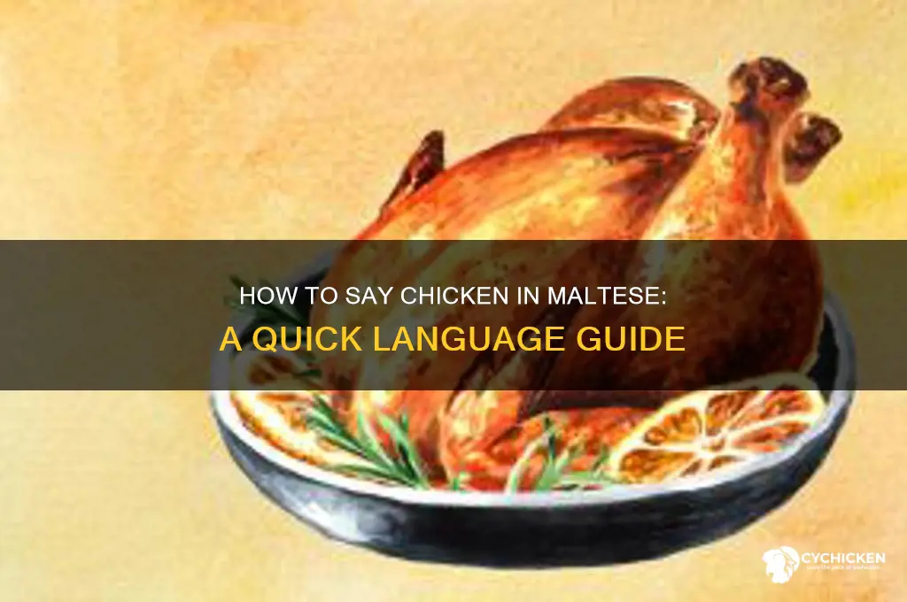 how do you say chicken in mtese