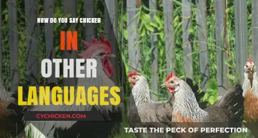 Cluck Around the Globe: Discovering 'Chicken' in Different Languages
