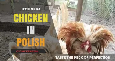 How to Say Chicken in Polish: A Quick Language Lesson