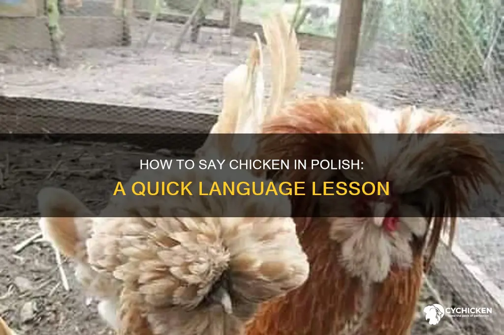 how do you say chicken in polish