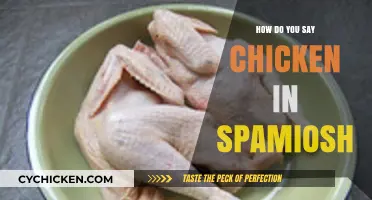 How to Say Chicken in Spanish: A Quick Language Guide