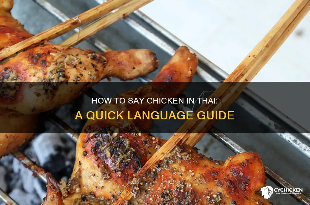 how do you say chicken in thai