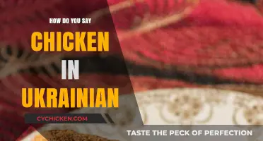 How to Say Chicken in Ukrainian: A Quick Language Guide