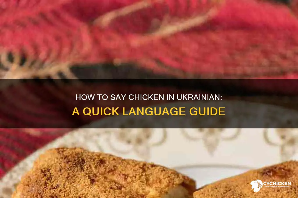 how do you say chicken in ukrainian