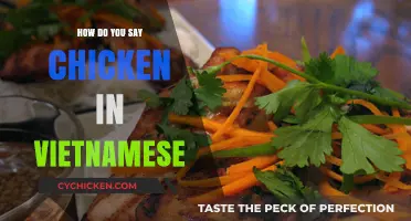 Discovering Vietnamese Cuisine: How to Say Chicken in Vietnamese