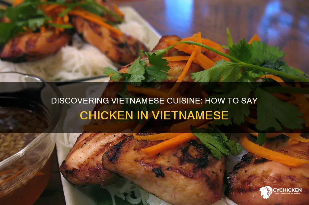 how do you say chicken in vietnamese