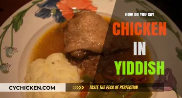 How to Say Chicken in Yiddish: A Quick Language Lesson