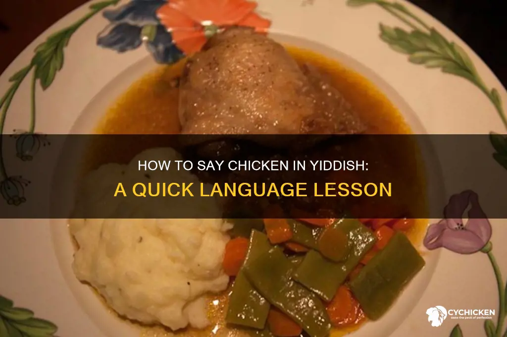 how do you say chicken in yiddish