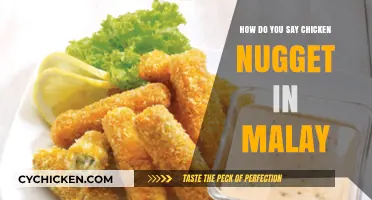 How to Say Chicken Nugget in Malay: A Quick Language Guide