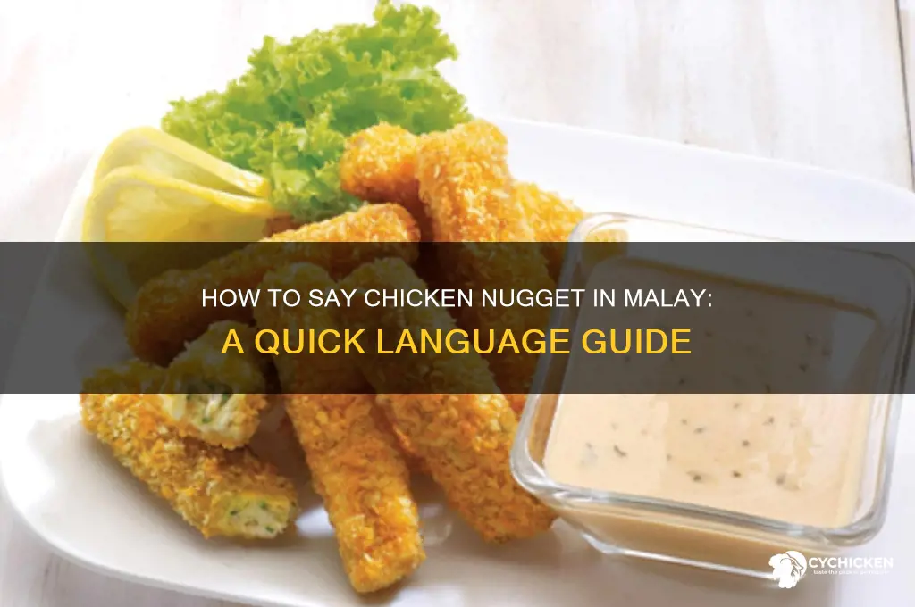 how do you say chicken nugget in malay