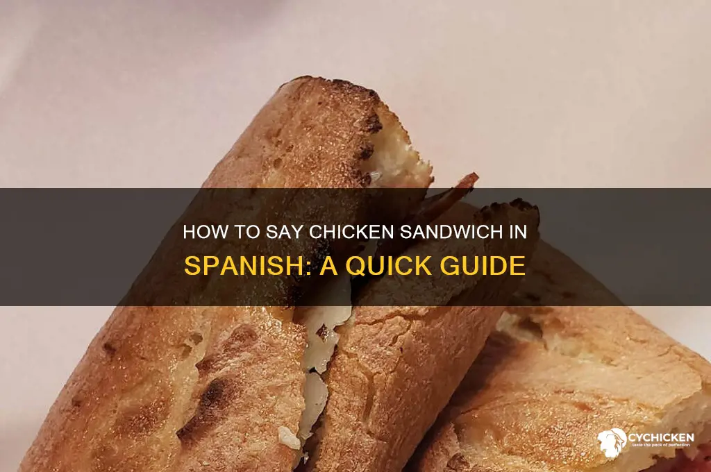 how do you say chicken sandwich inspanish