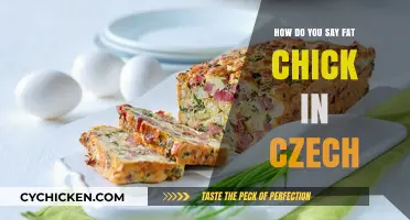 How to Say 'Fat Chick' in Czech: A Language Guide