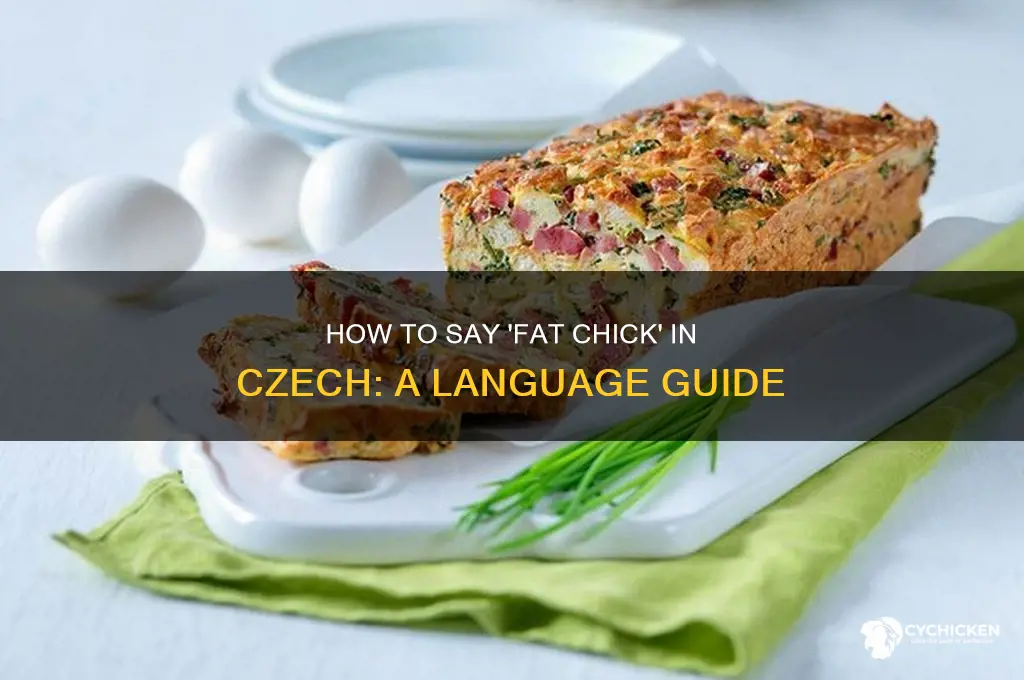 how do you say fat chick in czech