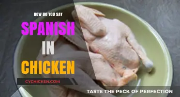 How to Say 'Chicken' in Spanish: A Quick Language Guide