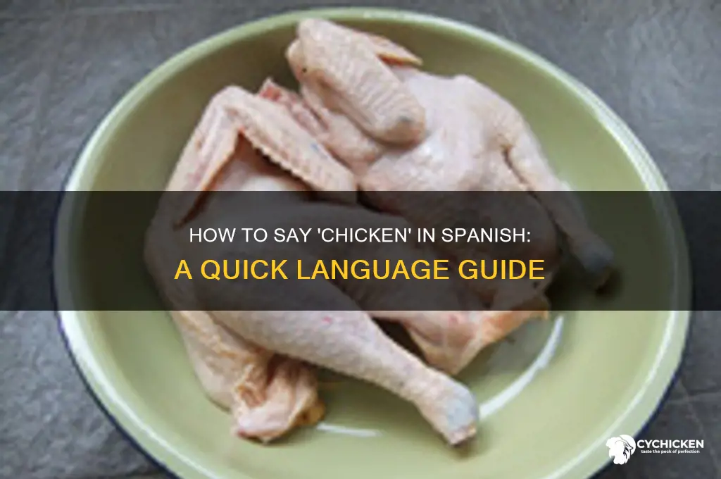 how do you say spanish in chicken