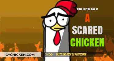 Expressing Fear: How to Say 'Scared Chicken' in Different Languages