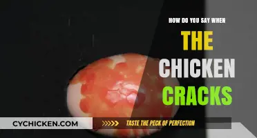 When the Chicken Cracks: Understanding the Sound and Its Meaning