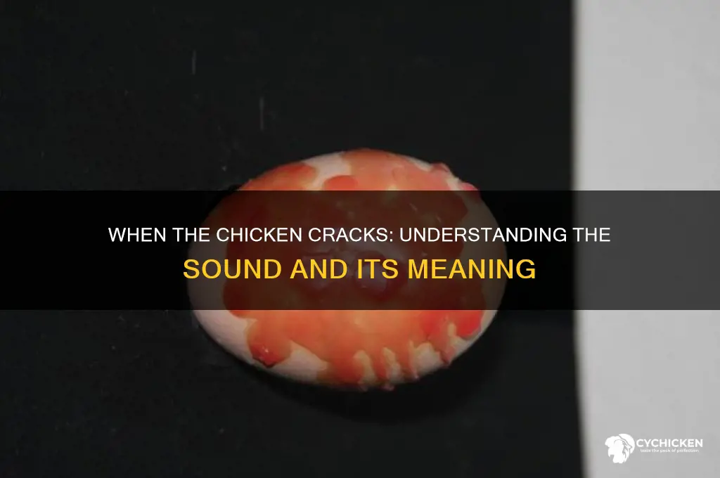 how do you say when the chicken cracks