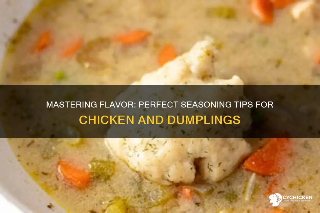 how do you season chicken and dumplings