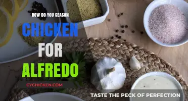 Perfectly Seasoned Chicken for Creamy Alfredo: Tips and Tricks