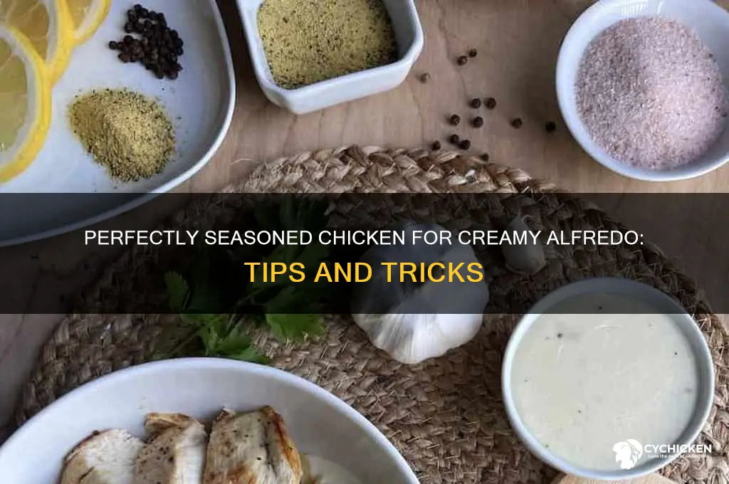 how do you season chicken for alfredo