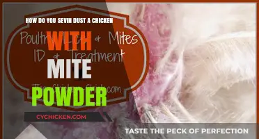 Treating Mites: Dusting Your Chicken Coop with Sevin