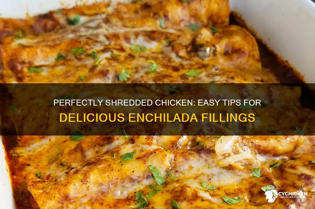 how do you shred chicken for enchiladas