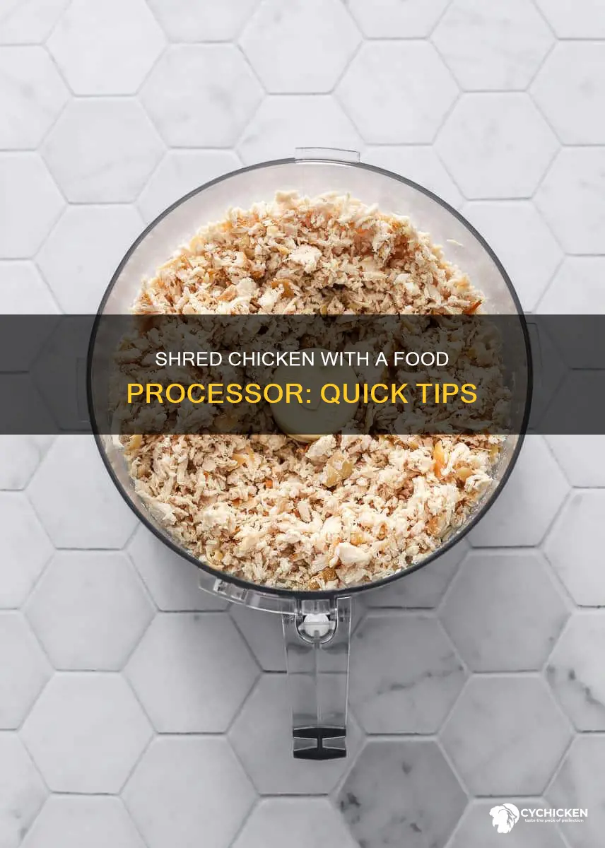 how do you shred chicken in a food processor