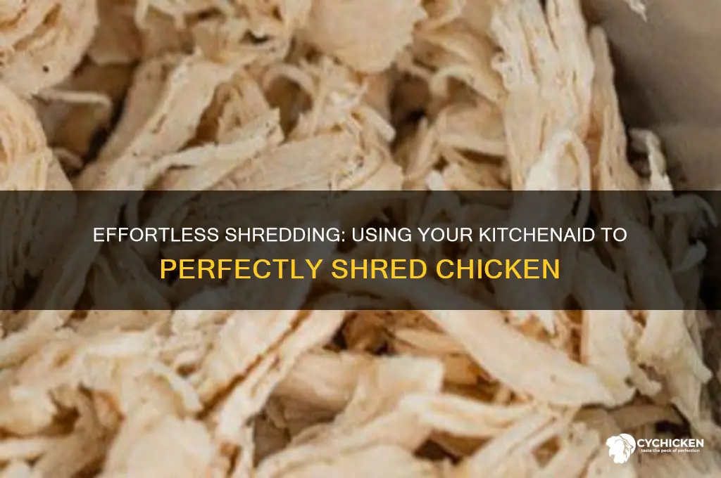 how do you shred chicken in a kitchenaid