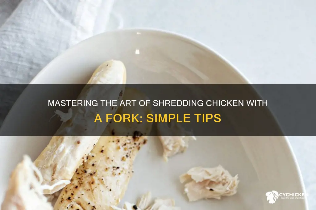 how do you shred chicken with a fork