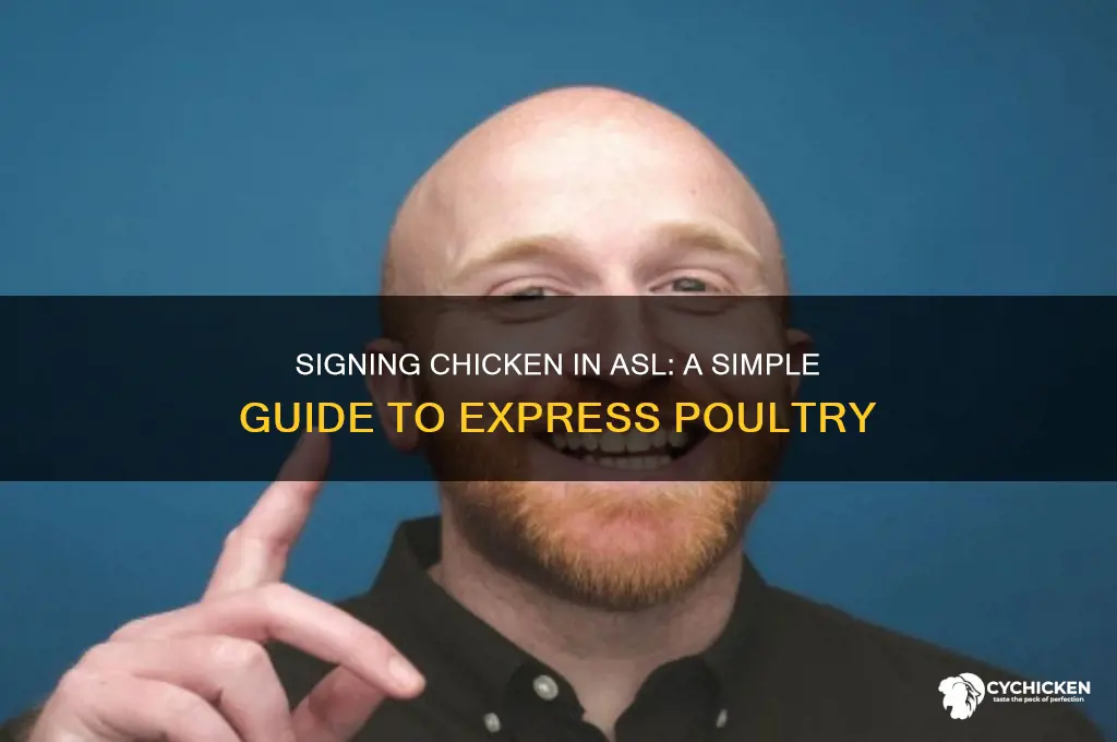 how do you sign chicken in asl