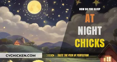 How Do You Sleep at Night? Chicks Share Their Bedtime Secrets