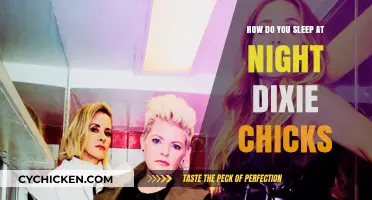 How Do You Sleep at Night? Exploring the Dixie Chicks' Legacy