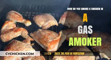 Smoking Chicken: Gas Smoker Techniques